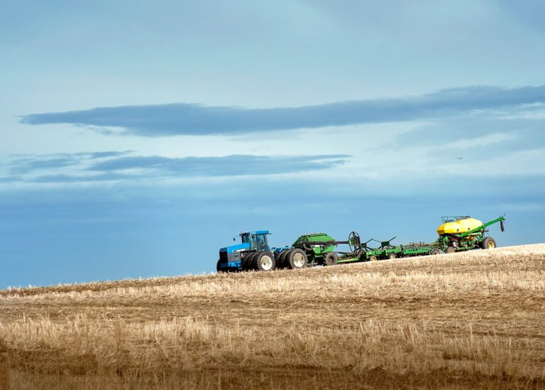 Siew nieodłączny etap w procesie uprawy roślin
